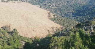 Karaburun ormanlarında GES isyanı