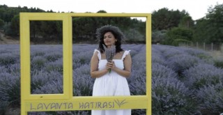 Mis kokulu lavanta hasadına geri sayım başladı