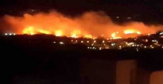 Çandarlı'da korkutan yangın...