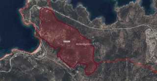 Foça'daki dev plana bakanlıktan itiraz: Ormana girdiniz