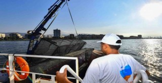 İzmir Körfez’ine ekolojik dokunuş