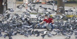 Konak evde,  belediye görevde