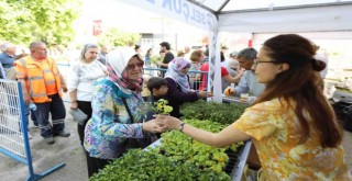 Efes Selçuk'ta fidelerle sofralar bereketlenecek