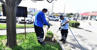 Büyükşehir ilaçlama çalışmalarına hız verdi
