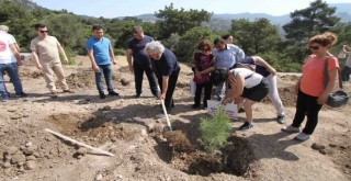 Karşıyaka'da Çevre Günü'nde fidanlar toprakla buluştu