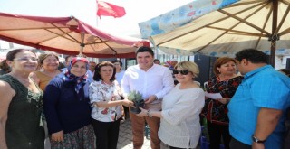 Buca’nın köylerine kadın eli değdi