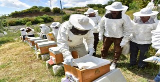 Bornova Belediyesi’nden yeni arıcılara tam destek