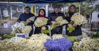 Nergisin mis kokusu, soğuk dinlemedi, on binleri Karaburun’a çekti