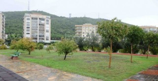 Karşıyaka meyve bahçeleriyle renkleniyor