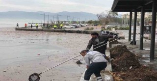 İzmir Büyükşehir ekipleri yaraları sarmak için sahada