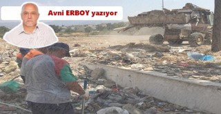 Karşıyaka Stadı'nda martılar ile kargalar!..