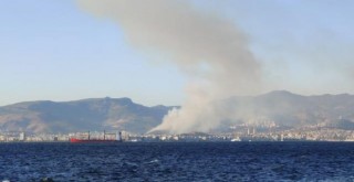 Karşıyaka'da orman yangını çıktı