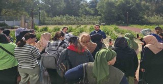 İZTAM’da kadın çiftçilerin günü