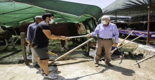 Buca’nın kurban pazarları denetlendi