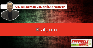 Kızılçam