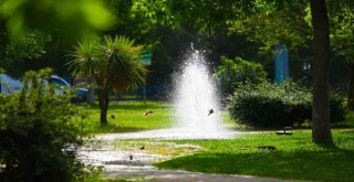 Bayraklı’nın yeşil oranı her yıl artıyor