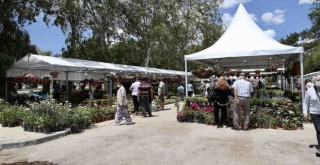 Sonbahar Çiçek Festivali 6-7 Kasım'da