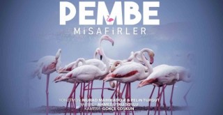 Çiğli’nin ''Pembe Misafirleri'' Berlin'de boy gösterecek