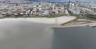 İzmir Körfezi kahverengiye büründü