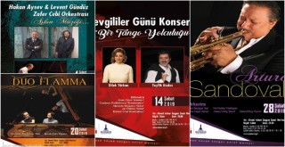 Şubat ayında yine dolu dolu bir sanat programı