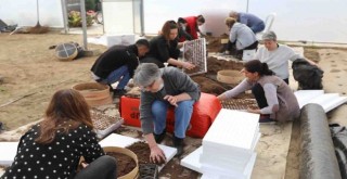 Efes Selçuklu kadınlardan deprem bölgesine fide dayanışması