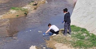 DEÜ ekipleri deprem atıklarının bertarafı için çalışıyor