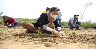 Efes Selçuk, Türkiye'yi üretime davet ediyor