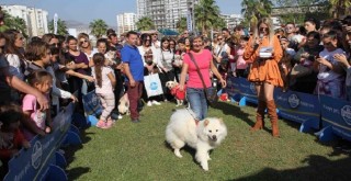Tay Park’ta Yaza Merhaba Şenliği var