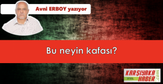 Bu neyin kafası?