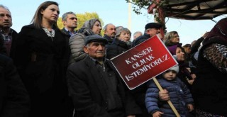 Başkan Sengel: Doğa talanına karşı Efes Selçuk yaşama sahip çıkacak