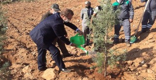 Dünya'ya nefes diyerek fidan diktiler...