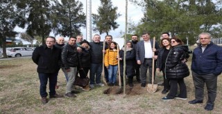 Karşıyaka’da fidan dikim şenliği