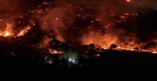 Foça'da yangınla mücadele devam ediyor