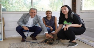 Ege’de can dostlar için Tedavi İstasyonu