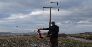 Sertel: Ölümlere seyirci kalmayın