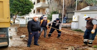 Başkan Selvitopu çalışmaları denetledi