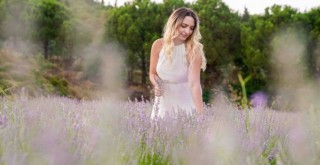 Seferihisar’da lavanta hasadı şenlikle başlıyor