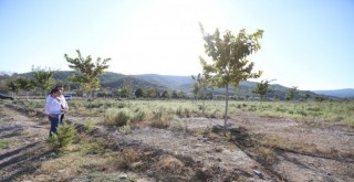 Pamucak Rekreasyon Alanı yürüyüş yoluna kavuşuyor