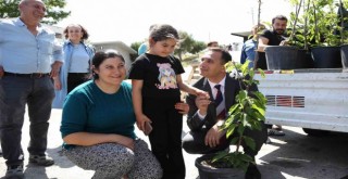 Çevre bilinci eğitiminde çarpan etkisi