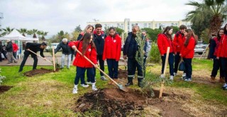 Atakent’te ''VUD Hatıra Ormanı'' kuruldu