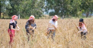 Karakılçık buğdayı akademinin mutfağında