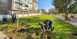 Karşıyaka'da yeşil alan 1,5 milyon metrekare oldu