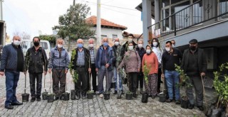 Buca Belediyesi’nden üreticiye 13 çeşit meyve fidanı
