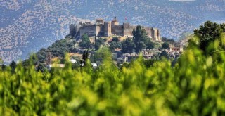 Efes Selçuk'ta doğa dostu verimli tarımsal üretim buluşması