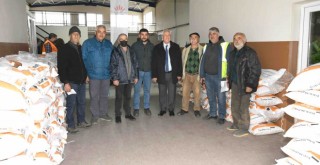 Kavacık üzümleri daha güzel olacak