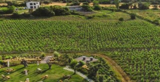 İzmir ''Tercih Edilen Destinasyon'' olmak için finalde