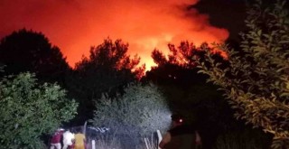 Karşıyaka'da orman yangını