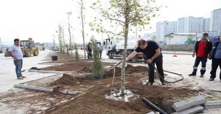 Karşıyaka’da hedef 5 yılda 100 bin fidan dikmek...