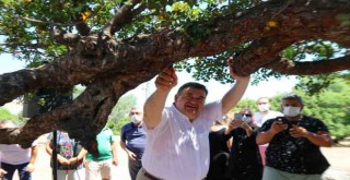 ''Çeşme’den Sakız Damlıyor'' projesi 2 yaşında