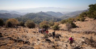 Yamanlar Dağı'ndaki yaban hayatı koruma altında